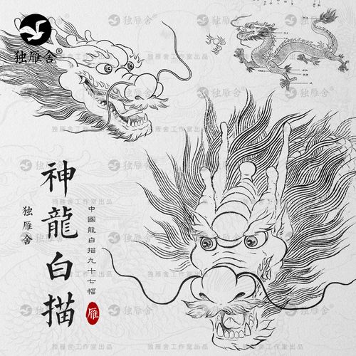 中国龙传统古典手绘龙头神龙纹样线描图案线稿白描图片绘画素材图
