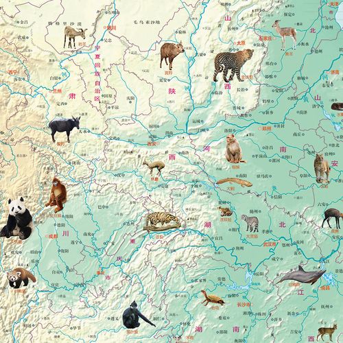 野生动物地图少儿科普国家地理房墙儿童实用生均小学生一般用中国地图