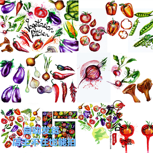 手绘水彩喷溅水墨水果蔬菜西瓜茄子豌豆辣椒插画 psd平面设计素材