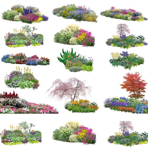 公园花园庭院绿化花境花卉植物组团花镜组合设计ps素材psd分层