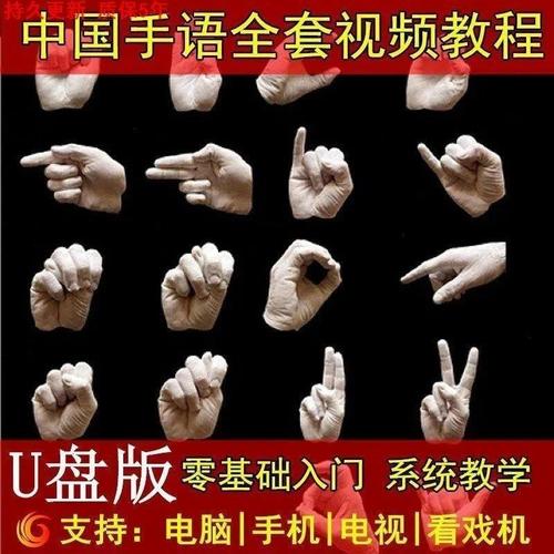 新版聋哑人自学中国手语视频教程u盘日常会话哑语手势零基础入门