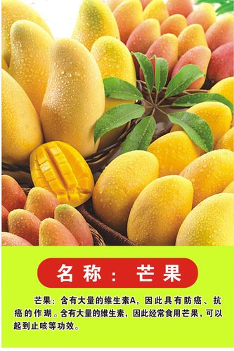 749海报印制展板写真喷绘769鲜果水果品种介绍及功效图片之芒果