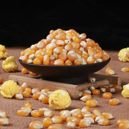 玉米粒爆裂新货爆米花球形小玉米微波炉炒锅玉米苞米玉米