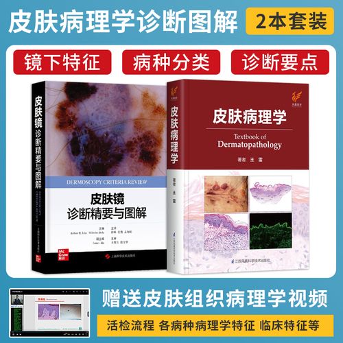 2本皮肤病组织病理诊断简明图谱实用皮肤病理学皮肤科医学书中国常见