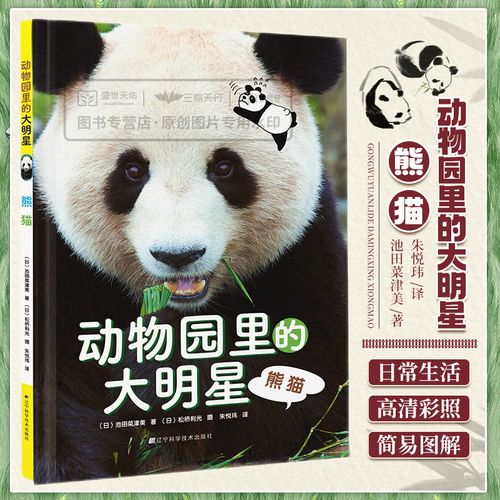 动物园里的大明星 熊猫 动物园里的大熊猫饲养员来为你揭秘关于大熊猫