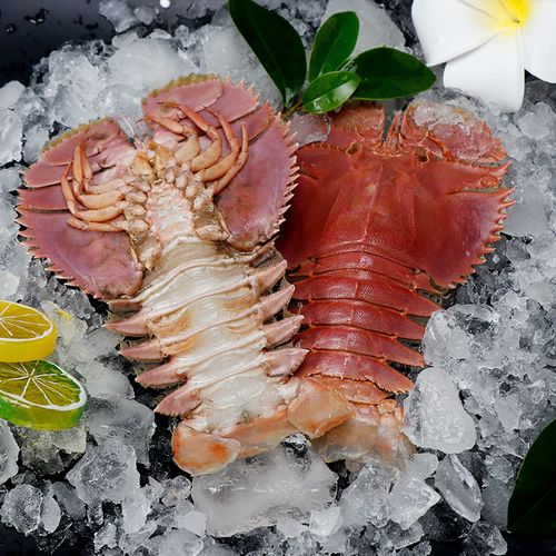 海鲜颂肉质鲜美琵琶虾