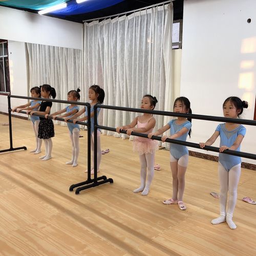 舞蹈把杆跳舞压腿专业机构杠家用儿童基本功双层移动式运动健身房