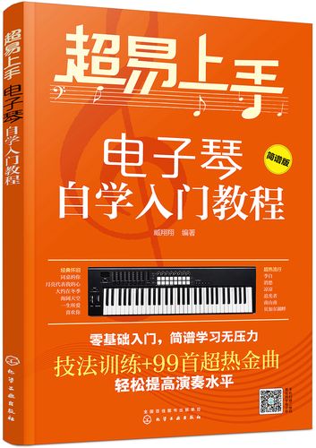 正版 超易上手——电子琴自学入门教程 音乐类书籍 电子琴自学入门