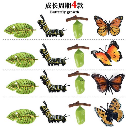 儿童认知科教仿真动物昆虫模型玩具实心蝴蝶蜜蜂成长周期塑胶摆件