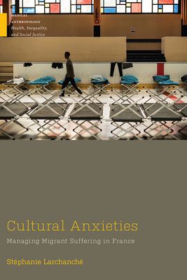 【预订】cultural anxieties