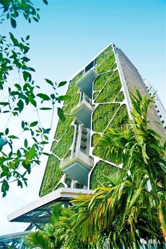 垂直绿化 · 会呼吸的墙壁