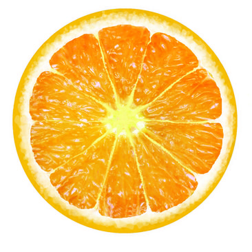 橙子切面素材