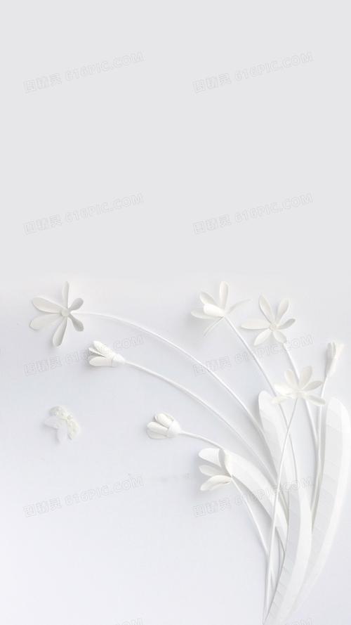 白色花朵背景图片下载_免费高清白色花朵背景设计素材_图精灵