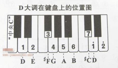 文档下载 所有分类 > 电子琴上哪个键是123456键盘上的1234567是不