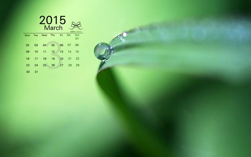 2015年3月日历精选大自然中保护眼睛的绿色植物高清电脑桌面壁纸(3)