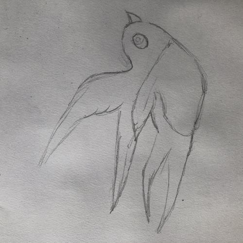 1铅笔画出燕子的轮廓