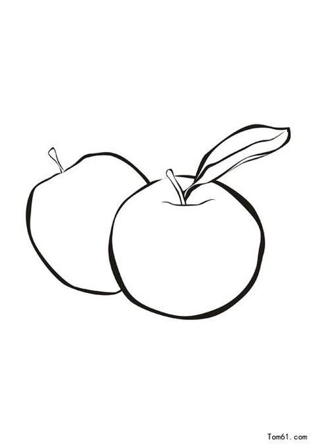 苹果的横切面简笔画