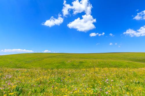 中国新疆蓝天下的绿色草原山脉风光