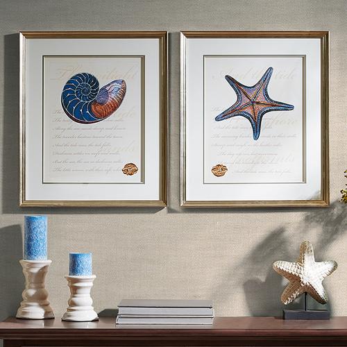 海星,海螺装饰画,画面简洁清爽,让居室处于别样的海洋风情中.