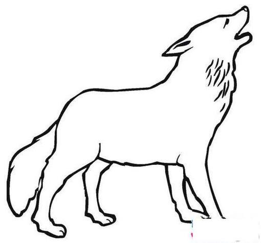 卡通简笔画 霸气的狼简笔画图片怎么样你学会画霸气的狼简笔画图片简