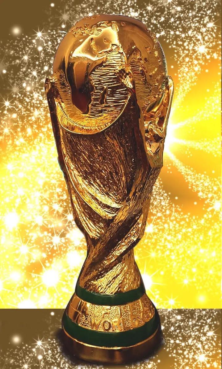 大力神杯是国际足联世界杯的冠军奖杯96这是足球界的最高荣誉象