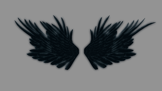 十二星座专属翅膀:十二星座专属翅膀,请发图片,天蝎的要好看点