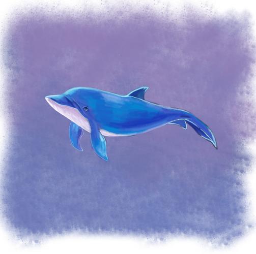 海豚|插画|其他插画|asaki - 原创作品 - 站酷 (zcool)