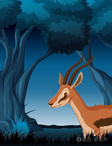 黑暗森林插图中的羚羊插画-正版商用图片18ir3d-摄图新视界