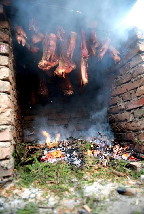 农村有一种植物柏树云贵川地区常用来熏腊肉味道很香