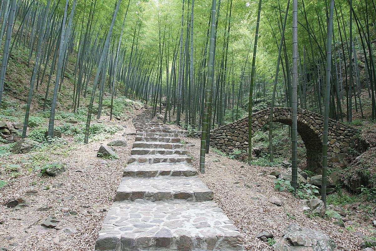 宜兴竹海风景区是一个以竹林为主题的国家aaaa级旅游区,位于江苏省