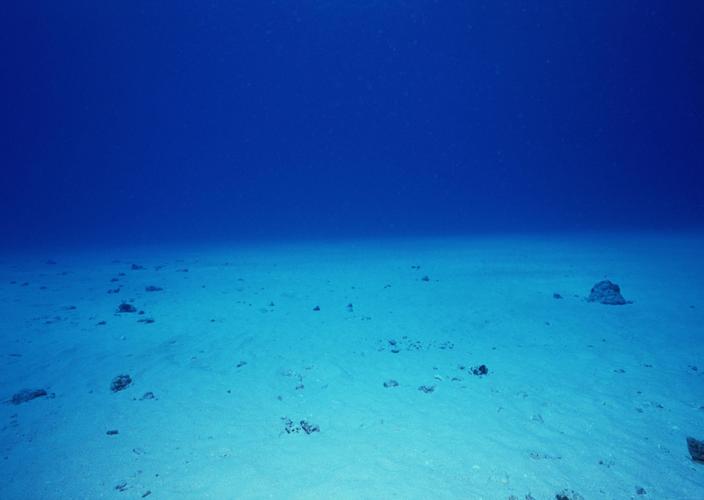高清晰蓝色深海壁纸