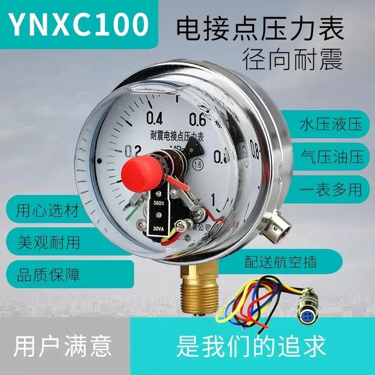 耐震电接点压力表.ynxc-100 有时我忙,有时我忘;有时 - 抖音