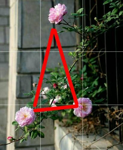 第八讲 洪师傅谈构图之三角形构图