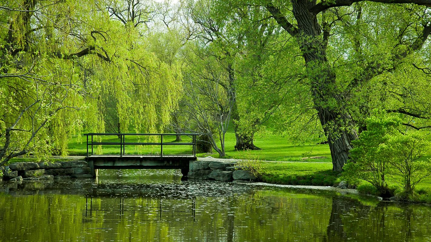 唯美清新的绿色公园风景图片高清壁纸
