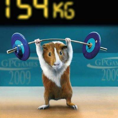【极品】搞笑动物之运动健将仓鼠一家的奥运项目实拍图片