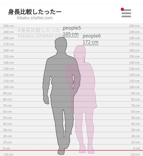 假设绝不是因为我是185)那么差13厘米的女生应该是172cm,效果图如下
