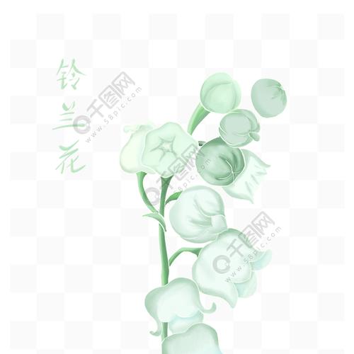 植物手绘蓝兰铃花花朵素材