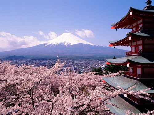 樱花,日本,富士山,城市,建筑壁纸,高清图片,旅游景点-桌面城市