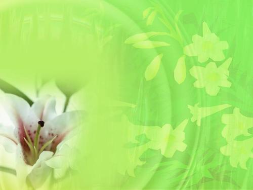 绿色的百合花背景ppt模板免费下载