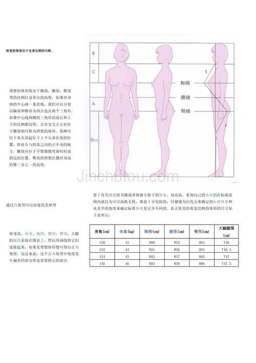 女性标准身材比例对照表