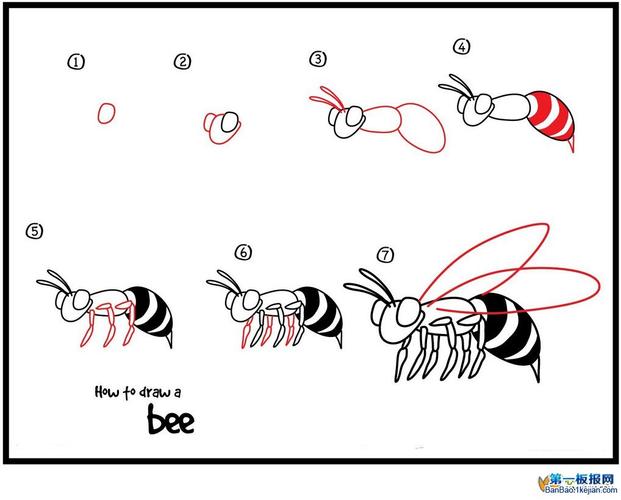 如何画蜜蜂简笔画
