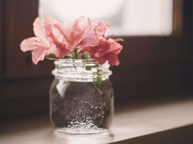 花朵,花瓶,安静,唯美,盛开,窗台,静好,心情花朵壁纸图片
