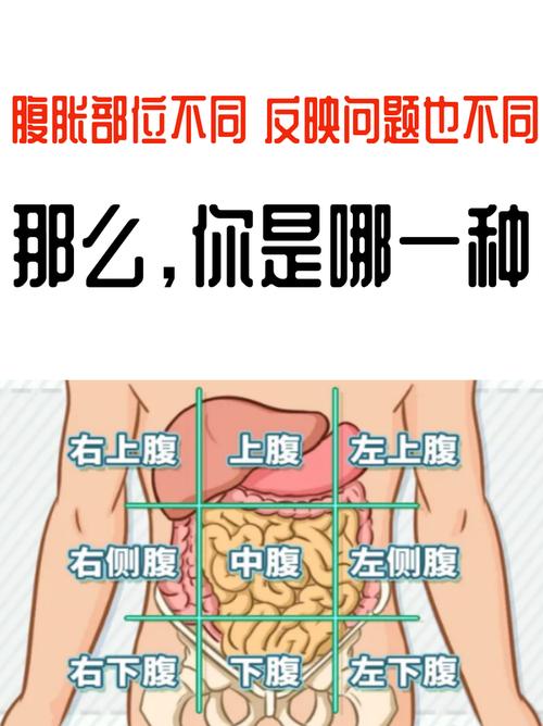 1,胃口(上腹的位置)处胀,反映多是胃窦炎,反流性食管炎.