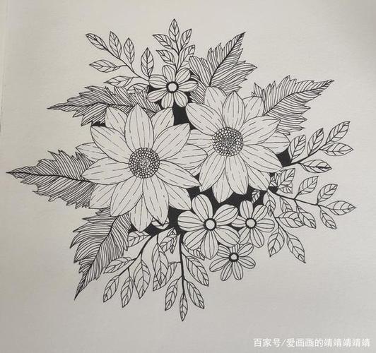 简单易学,一支笔画黑白线描花卉