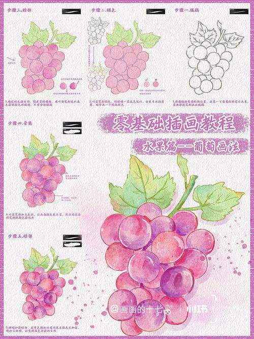 插画教程教你画水彩葡萄