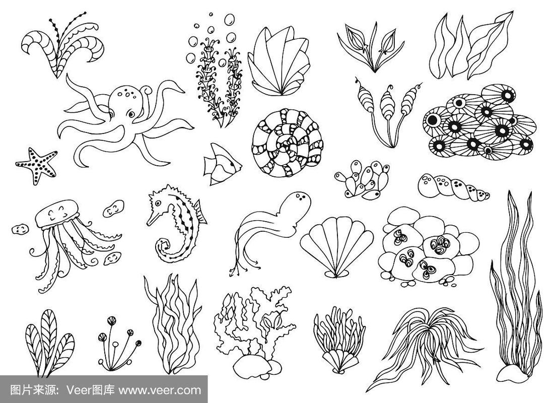 矢量涂鸦插图设置海洋生物和植物.