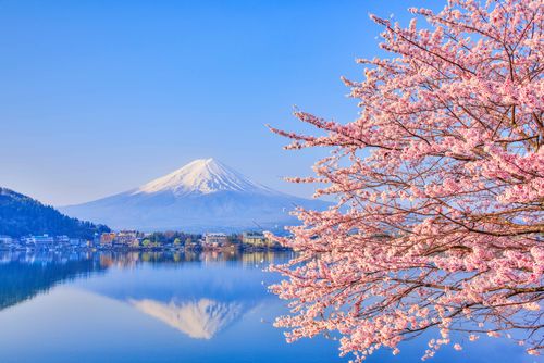 去日本表情看樱花表情什么时候去最合适为期几天带娃应该注意什么