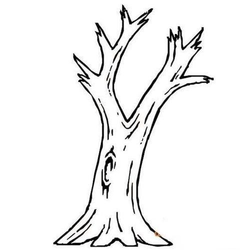 画一棵树简笔画茂盛大树的简笔画画法大树树枝简笔画茂盛的大树简笔画