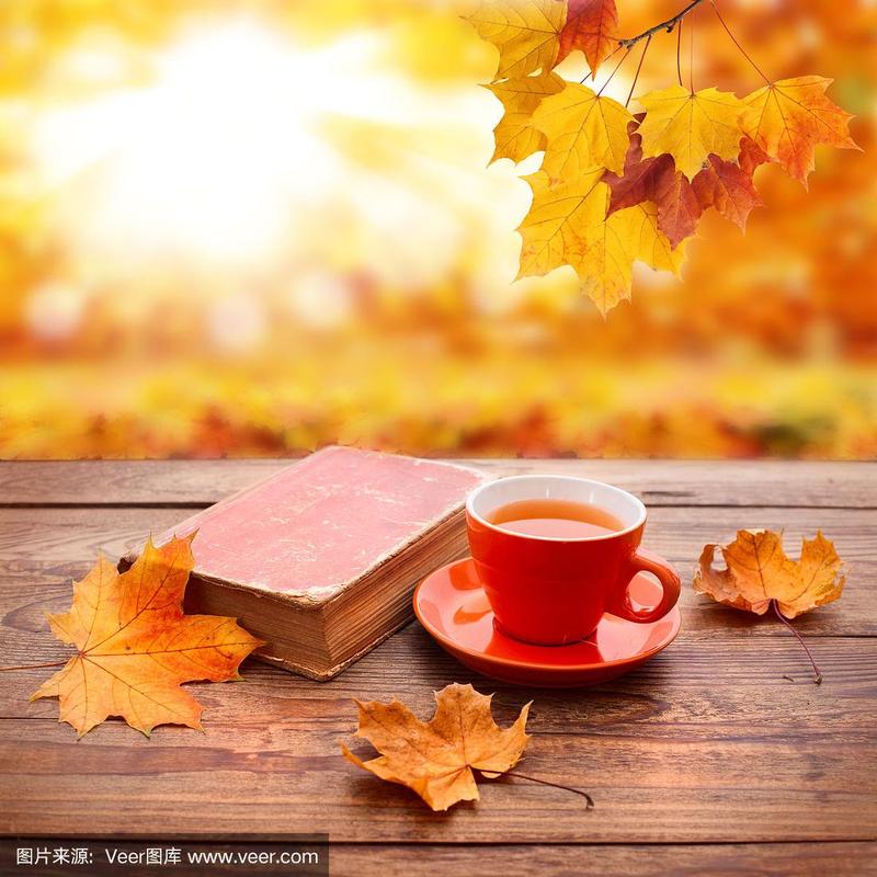 秋天的背景.秋天的叶子,书和一杯茶在公园的木桌上.