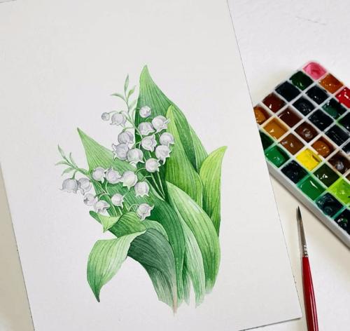 水彩花卉 | 细腻写实的花卉植物水彩手绘
